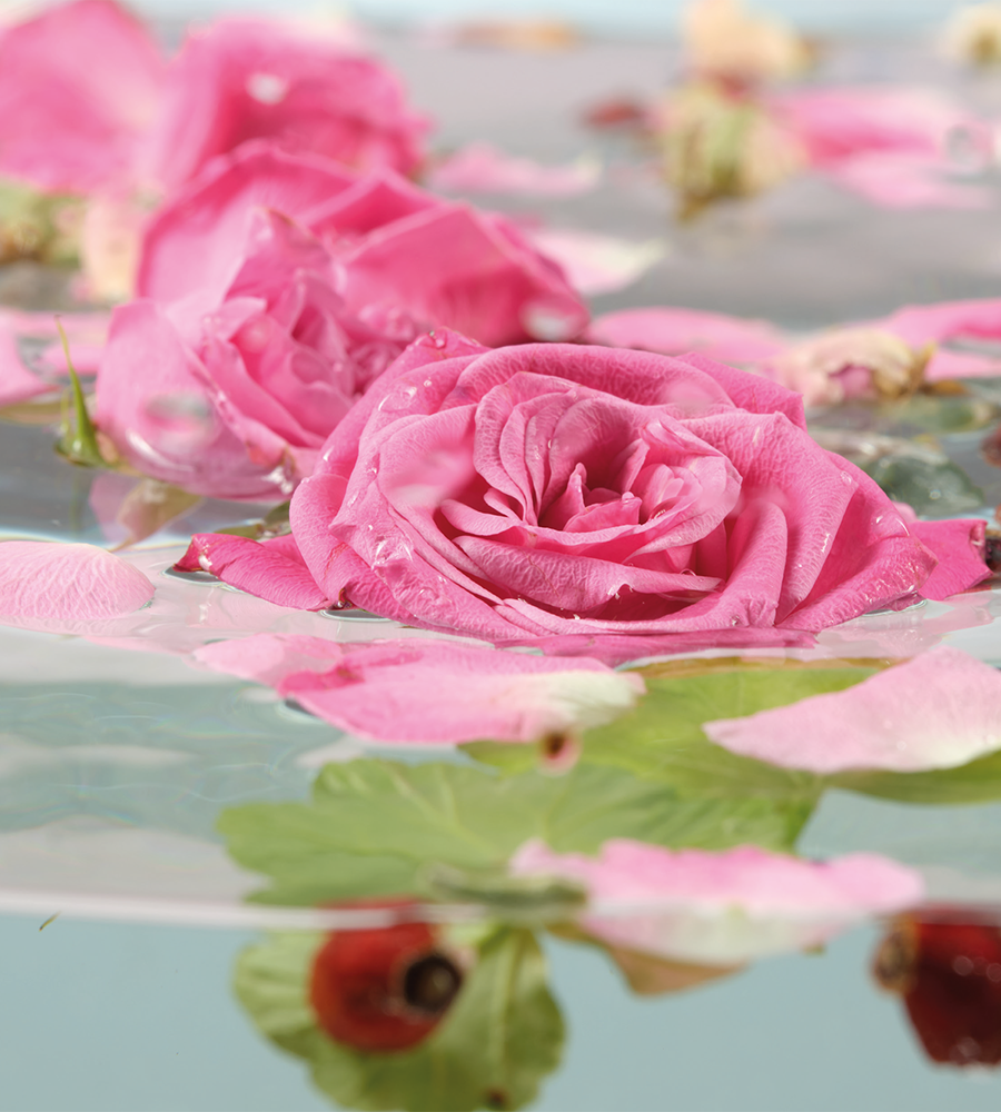 Mystic Rose Oil-5 Mistik Gül Yağı-5